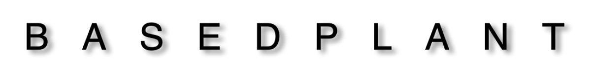 bedrijfsnaam normale D